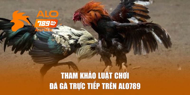 Tham khảo luật chơi đá gà trực tiếp trên Alo789 