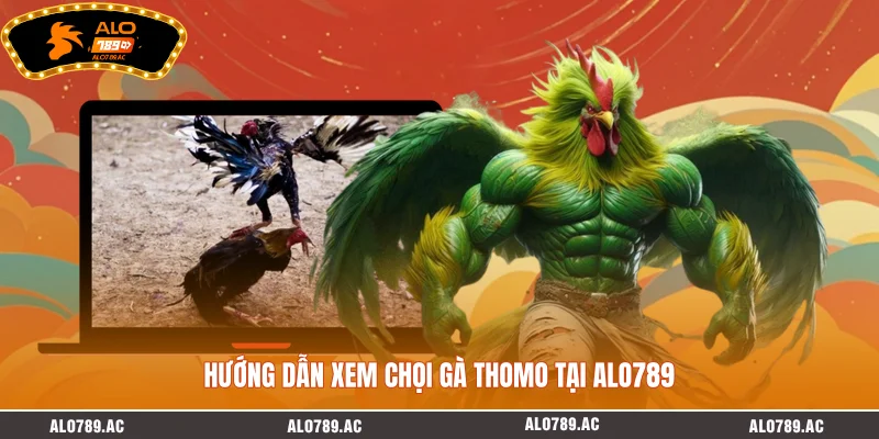 Hướng dẫn xem chọi gà Thomo tại ALO789