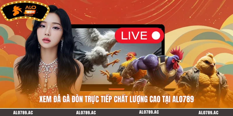 Xem đá gà đòn trực tiếp chất lượng cao tại ALO789